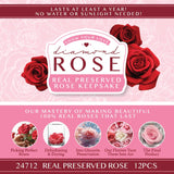 Diamond Real Preserved Rose Keepsake- 12 Pieces Per Retail Ready Display 24712