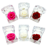 Diamond Real Preserved Rose Keepsake- 12 Pieces Per Retail Ready Display 24712